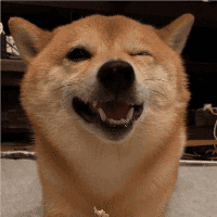 今天发点什么