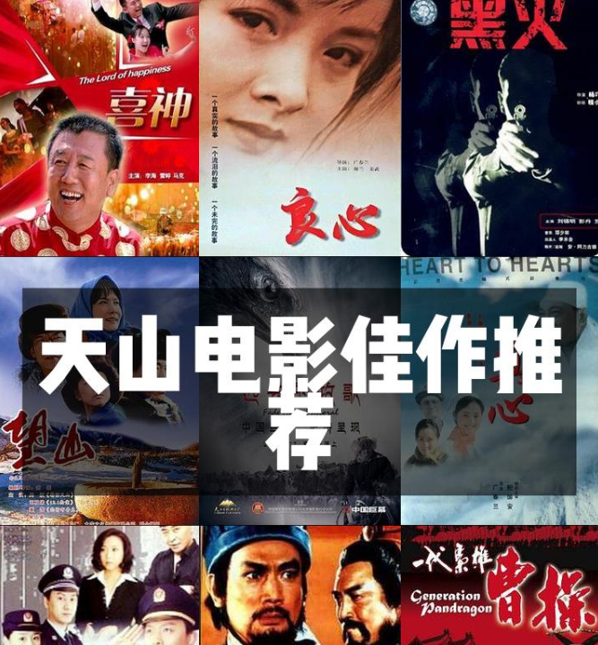 【天山电影制片厂】22部电影合集 涵盖1959年-2009年各时期作品 超清1080P 内封中字  占【42GB】