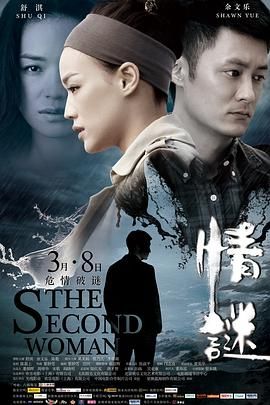 孪爱 / The Second Woman
