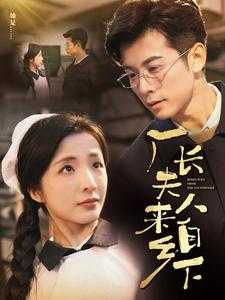 短剧（2025）02月17日最新短剧合集（33部）25.5GB