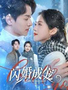短剧（2025）02月10日最新短剧合集（31部）20.9GB