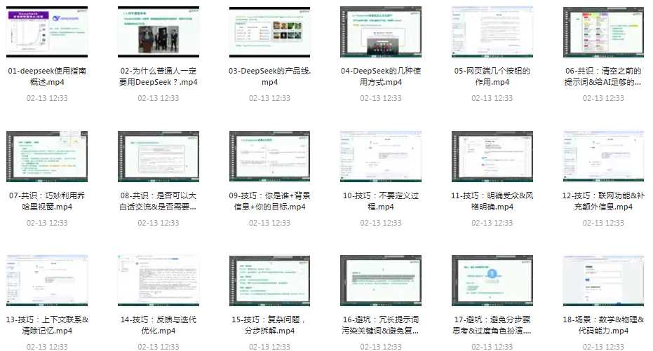 《DeepSeek使用指南》AI时代必修课 2小时全面攻克DeepSeek技术生态   [mp4]