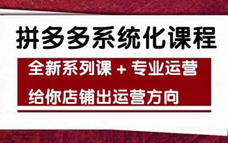 拼多多系统化运营课程（电子商务/电商运营）【MP4】
