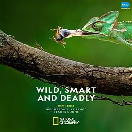 Wild, Smart and Deadly Season 1