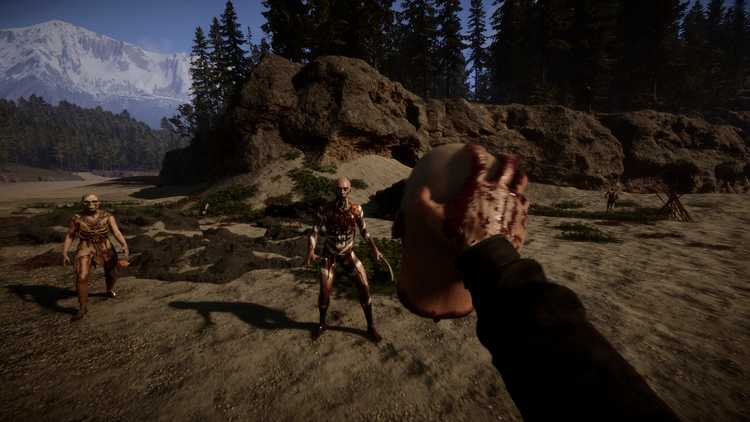 🎮️游戏分享：森林之子/亚洲之子 [Sons Of The Forest]v53951免安装中文版