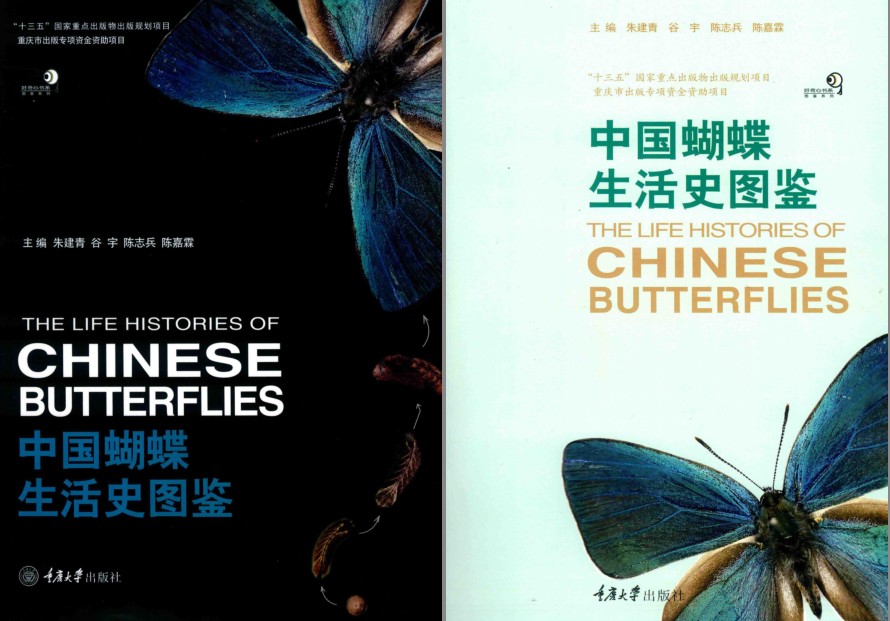 《中国蝴蝶生活史图鉴》关于蝴蝶的科普 [pdf]