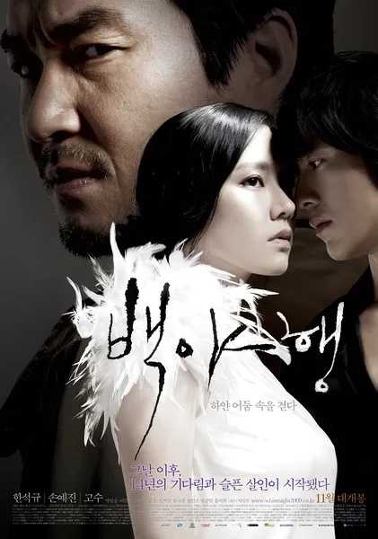 白夜行(2009)【BluRay.1080P】【内封简繁字幕】【剧情/爱情/悬疑】【孙艺珍/韩石圭】【10.17GB】