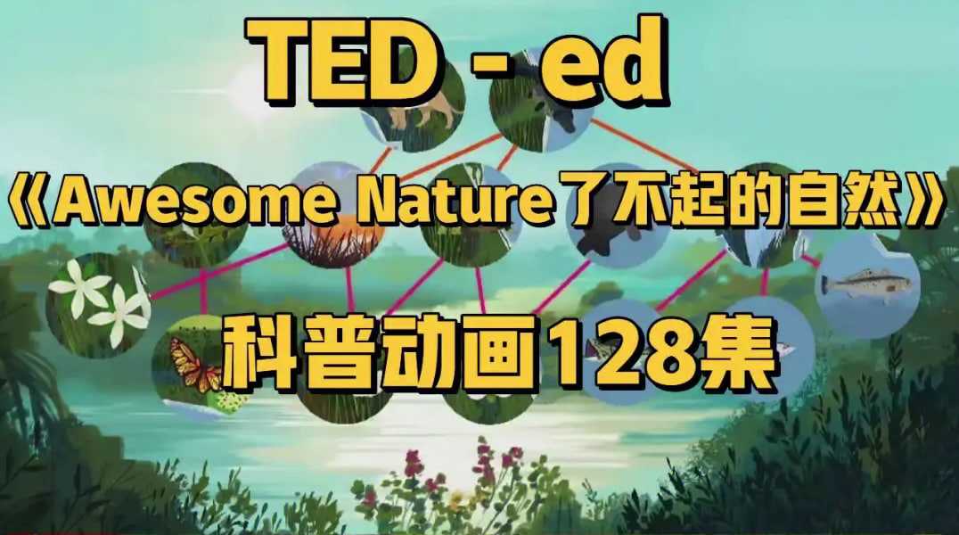 TED-ed系列科普动画《了不起的自然 Awesome Nature》 5.4GB