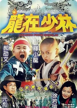 龙在少林 龍在少林