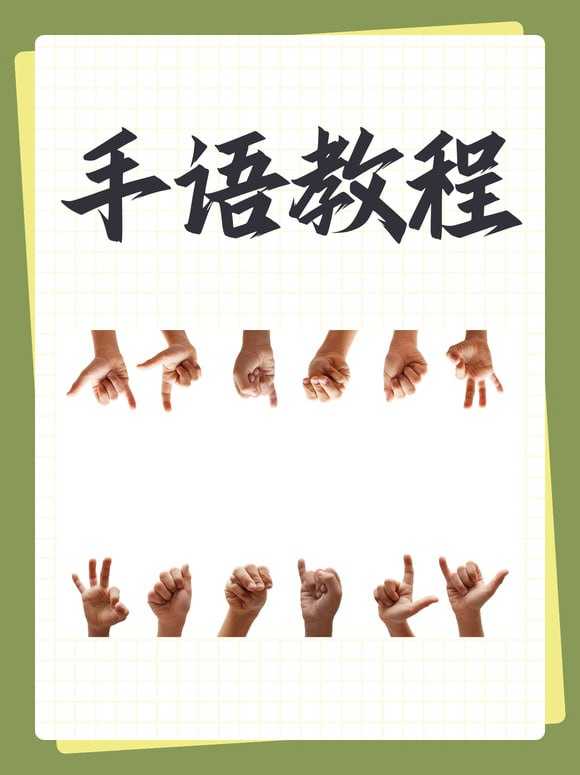 手语自学视频教程从入门到精通【手语教程】