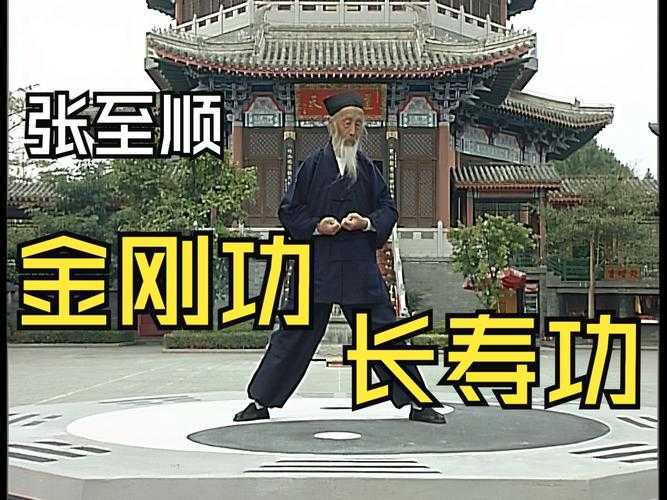 《张至顺道爷亲传八部金刚功》高清版 长寿功法 跟着视频学锻炼身体 稀缺资源 [mp4]