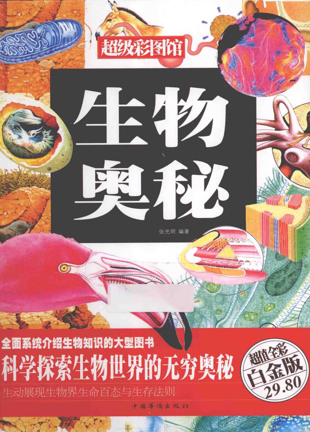 《生物奥秘》超值全彩白金版 探索生物世界无穷奥秘