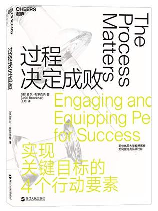 《过程决定成败》高品质过程工具箱 [pdf]