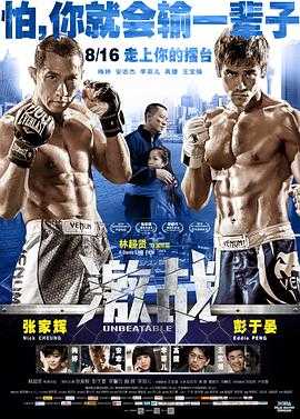 激战 1080p remux(2013)外挂简繁字幕(31.5G)