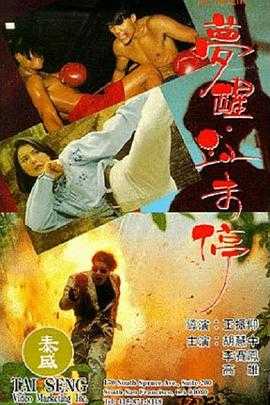 梦醒血未停  1080p remux (1991) 外挂简繁字幕(27.8G)