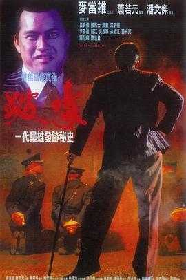跛豪 1080p remux (1991) 外挂中文字幕(37.9G)