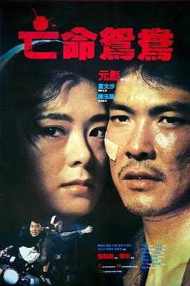 亡命鸳鸯 1080p remux(1988)内封简繁字幕(27.1G)