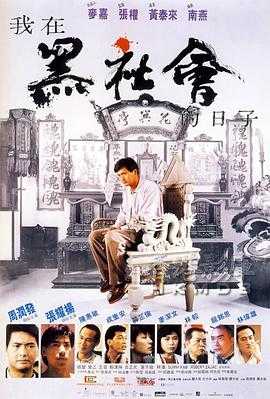 我在黑社会的日子 1080p remux(1989)内挂简繁字幕（18.9G）