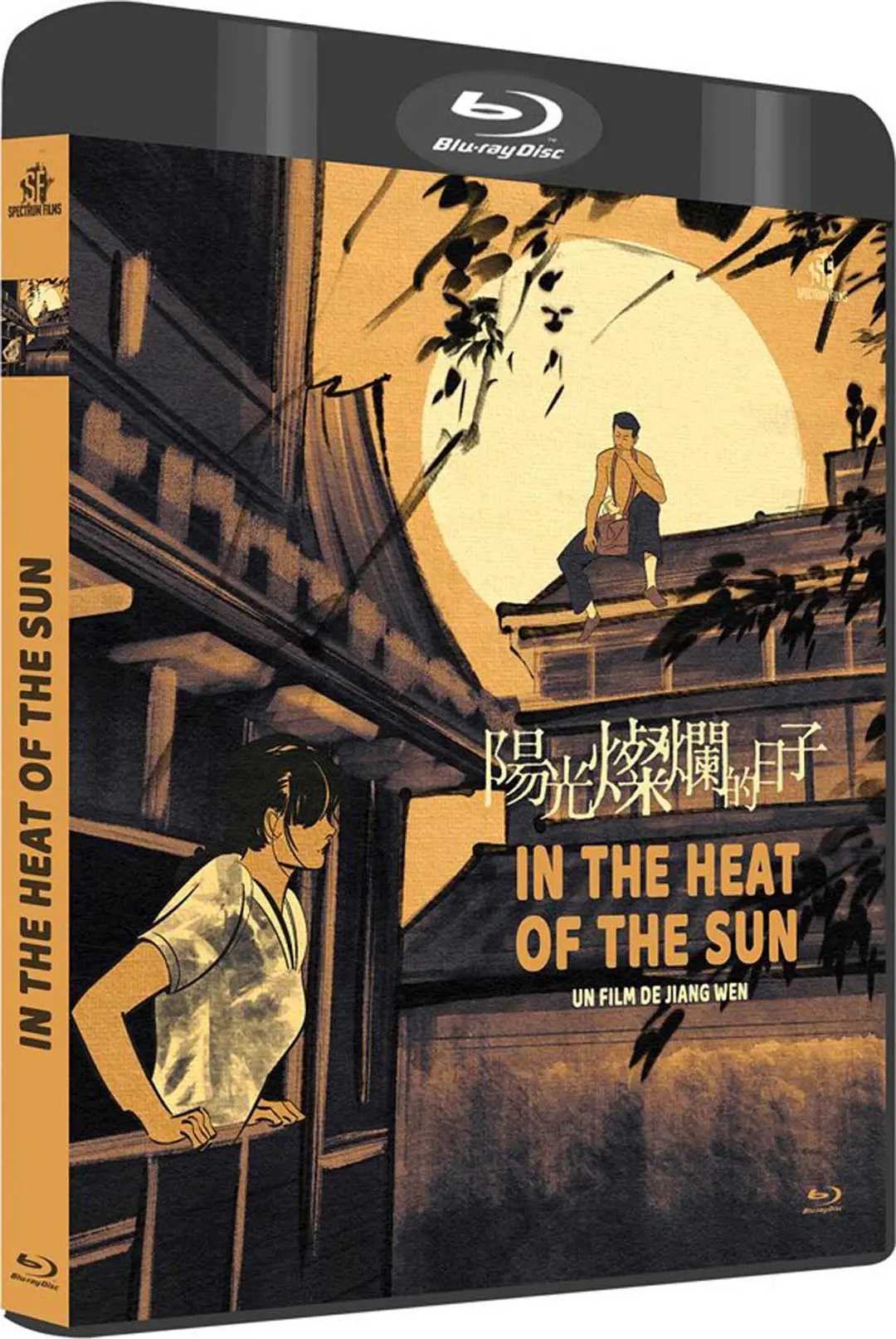 阳光灿烂的日子(1994)【蓝光原盘 REMUX】【内封简繁SUP字幕】【剧情/爱情/青春】【32.7GB】
