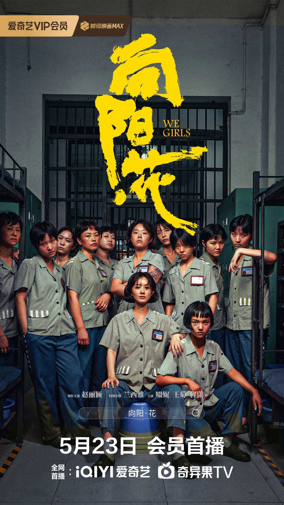 向阳花（2025）赵丽颖1080p