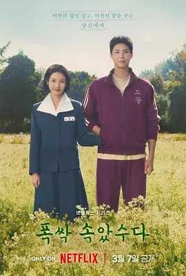 【韩剧】 苦尽柑来遇见你 (2025)丨主演: IU李知恩 / 朴宝剑 丨全16集
