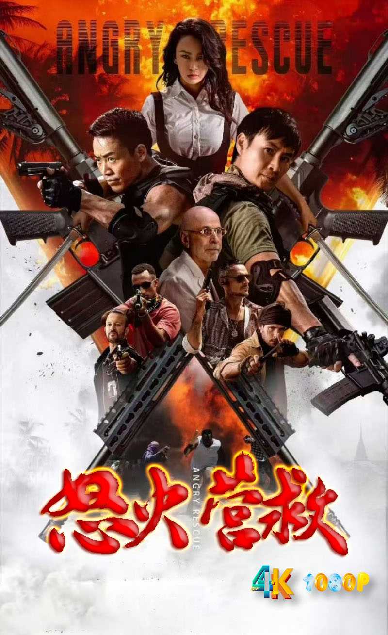 怒火营救.2025（4K+1080P）国语中字.跨国大营救，精彩动作戏