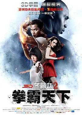 冬荫功2：拳霸天下 1080p remux(2013)内嵌中英字幕（14G)