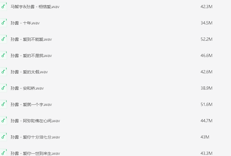 孙露10年经典348首无损hifi合集 带目录HIRes+wav（18GB ）