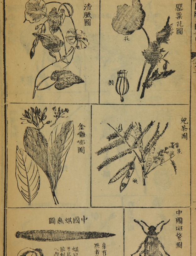 西医略论.英国.合信.清.管茂材撰.美国国家医学图书馆藏清咸丰7年（1857）刊本.pdf【195.6M】