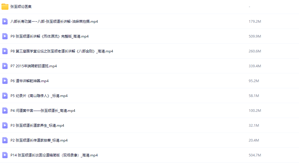 【国学】张至顺道爷视频大合集（演讲｜课程｜纪录片｜八部金刚功等）【mp4】【5G】