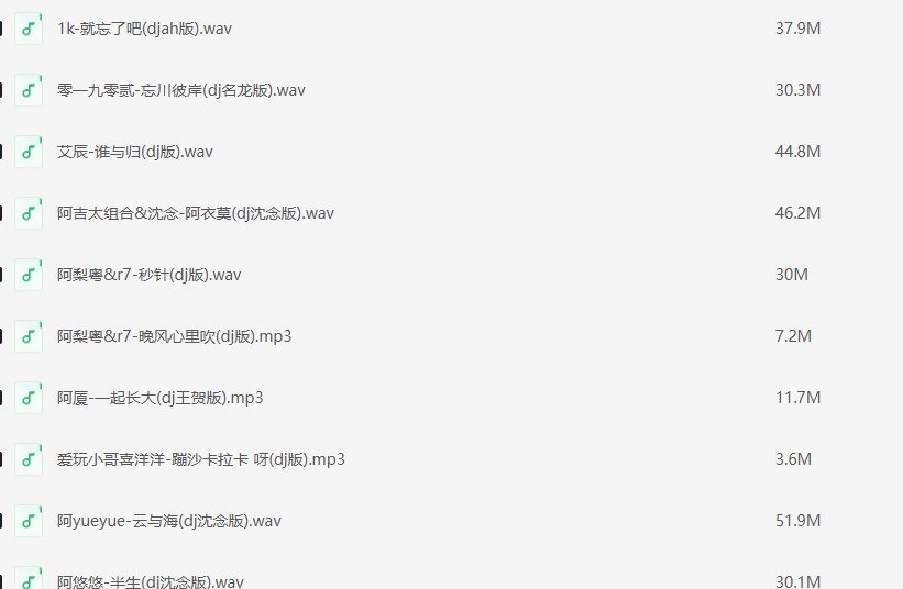 抖音热门华语劲爆车载DJ歌曲合集{mp3}【4.8G】