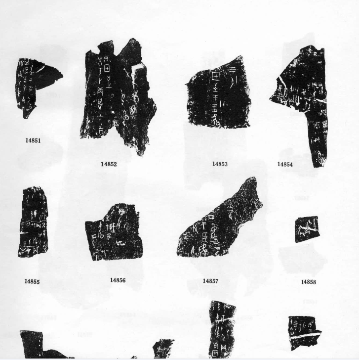 甲骨文合集（中华书局） 甲骨文合集释文、甲骨文合集材料来源表（中国社会科学出版社）【PDF】【3G】