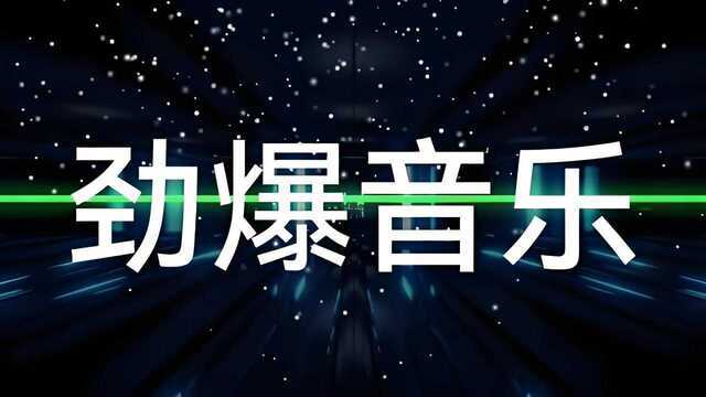 【无损音乐】2025年3月上旬249首DTOP刷屏热门bgm歌曲合集 [WAV+MP3+10.2GB]