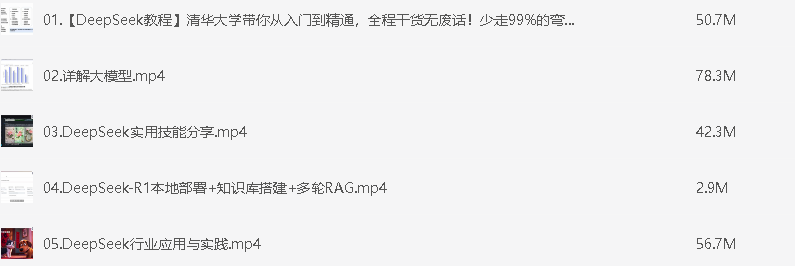 Deepseek之光【MP4】【230.5M】
