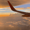 1364644424