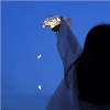 南街浊酒