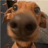 4eek