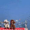 白夜流转zZ